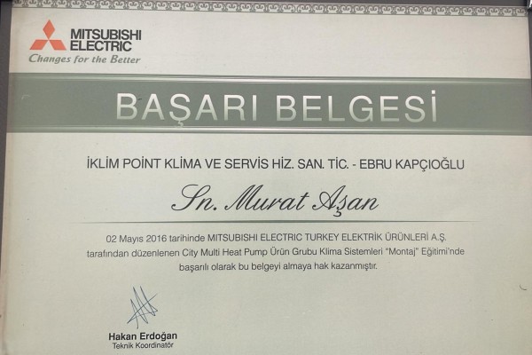 ins1