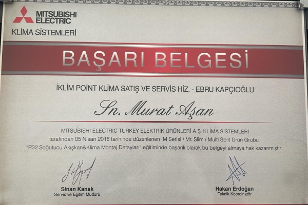 ins1